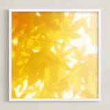 "sun bathing leaves" - Art Print in Golden Yellow by Amy Chapman Braun - Framed