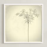 "open an umbrella" - Art Print in black and white by Qing Ji - Framed