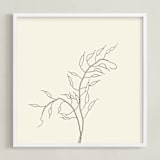 "Wild Radish" - Art Print in charcoal on ivory by Jorey Hurley - Framed