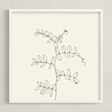 "Wild Pea" - Art Print in charcoal on ivory background by Jorey Hurley - Framed