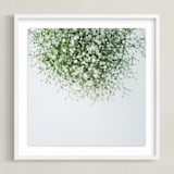"Gypsophila" - Art Print in emerald green by Marabou Design - Framed