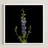 "stunning summer" - Art Print in purple by raven erebus - Framed