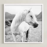 "Field Horse" - Art Print in Black and White by Natalie Uprichard - Framed