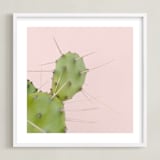 "Succulent No1" - Art Print in Color by Jessica C Nugent - Framed