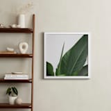 "Lush - Green" - Art Print in Original by Marshe Hutchinson - In a Room