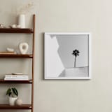 "Structured Palm" - Art Print in Black & White by Zani van Zyl - In a Room