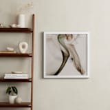 "Decline" - Art Print in Latte by Anne Ciotola - In a Room