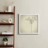 "open an umbrella" - Art Print in black and white by Qing Ji - In a Room