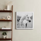 "Field Horse" - Art Print in Black and White by Natalie Uprichard - In a Room
