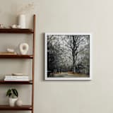 "Rooted" - Art Print in Misty Green by Emma Ballou - In a Room