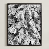 "Frost 3" - Art Print in Black & White by Ardell McLennan - Framed