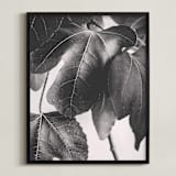 "Gather & Gaze" - Art Print in Matte Black by Alicia Youngken - Framed