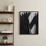 "Palmery 2" - Art Print in Black and White by Catherine Culvenor - In a Room