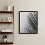 "Palm leaves 1" - Art Print in black and white by Eliane Lamb - In a Room