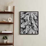 "Frost 3" - Art Print in Black & White by Ardell McLennan - In a Room