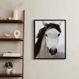 "Winter Horse" - Art Print in white by ALICIA BOCK - In a Room