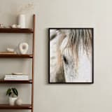 "Wild Horse Eye" - Art Print in Cafe Cream by Michelle Detering - In a Room