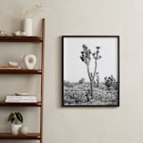 "Vito" - Art Print in joshua grey by Kristi Jackson - In a Room