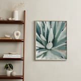 "Todos Santos IV" - Art Print in Desert Green by Lindsay Ferraris Photography - In a Room