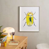 "Golden Scarab Beetle" - Art Print in Gold by Holly Whitcomb - In a Room