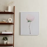 "Budding Peony" - Art Print in Pale Peony by jinseikou - In a Room