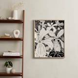 "Campo De Malvas 2" - Art Print in Graphite Gray by Catilustre - In a Room