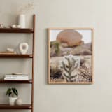 "The Runaway" - Art Print in Desert Orange by Briana Grace - In a Room