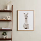 "Baby Animal Llama" - Art Print in Milky foam by Cass Loh - In a Room