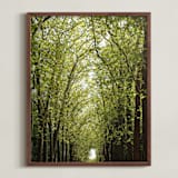 "Canopy of Trees" - Art Print in Green by Eric Clegg - Framed