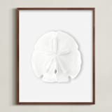 "Modern Sand Dollar" - Art Print in Ice Grey by Artsy Canvas Girl Designs - Framed