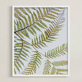 "Synthesis" - Art Print in Fern Green by Shannon Terrell - Framed