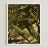 "Bamboo Breeze" - Art Print in Bamboo Green by Katie Buckman - Framed