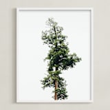"Solo" - Art Print in spring rain by Kamala Nahas - Framed