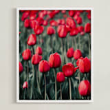 "Red Tulips" - Art Print in Red by Lucila Naves - Framed