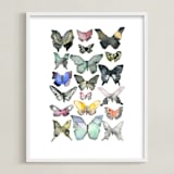 "Watercolor Butterfly Collection" - Art Print in Lush Meadow by Heidi Lowell - Framed
