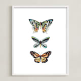 "Butterfly Colorful Watercolors" - Art Print in Butterfly wing black by Lauren Rogoff - Framed