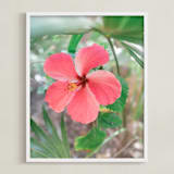 "Yucatan VIII" - Art Print in Hibiscus by Lindsay Ferraris Photography - Framed