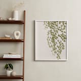 "Softness" - Art Print in Olive branch by Eliane Lamb - In a Room