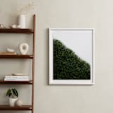 "verdant garden I" - Art Print in leaf by Sara Hicks Malone - In a Room