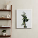"Solo" - Art Print in spring rain by Kamala Nahas - In a Room