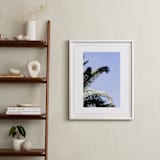 "Palm II" - Art Print in Sky Blue by Annie Montgomery - In a Room
