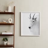 "Fierce" - Art Print in Mountain Granite by Jamie Lollback - In a Room