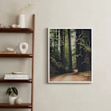 "Walk Into the Woods" - Art Print in Forest Brown by Bente Jorgensen-Barajas - In a Room