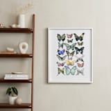 "Watercolor Butterfly Collection" - Art Print in Lush Meadow by Heidi Lowell - In a Room
