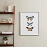 "Butterfly Colorful Watercolors" - Art Print in Butterfly wing black by Lauren Rogoff - In a Room