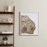 "Slice From the Past II" - Art Print in Ancient wood by Ilze Lucero - In a Room