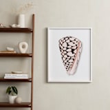 "Modern Marble Cone Shell" - Art Print in Misty Rose by Artsy Canvas Girl Designs - In a Room
