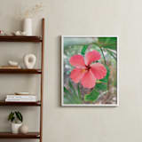 "Yucatan VIII" - Art Print in Hibiscus by Lindsay Ferraris Photography - In a Room