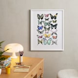 "Watercolor Butterfly Collection" - Art Print in Lush Meadow by Heidi Lowell - In a Room