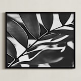 "GLOWING BOTANICAL I" - Art Print in black and white by Amy Chapman Braun - Framed